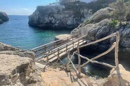 Boschapartamento De 2 Dormitorios Y Con Piscina Ciutadella  Dış mekan fotoğraf